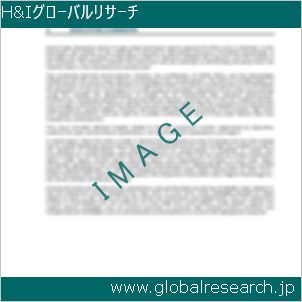 グローバルリサーチ調査レポートのイメージ